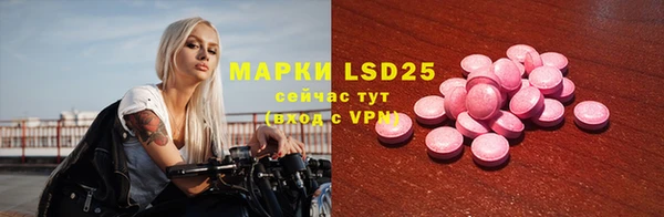 apvp Аркадак