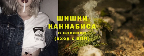 амф Арсеньев