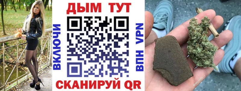 что такое наркотик  Сосновый Бор  Конопля сатива 